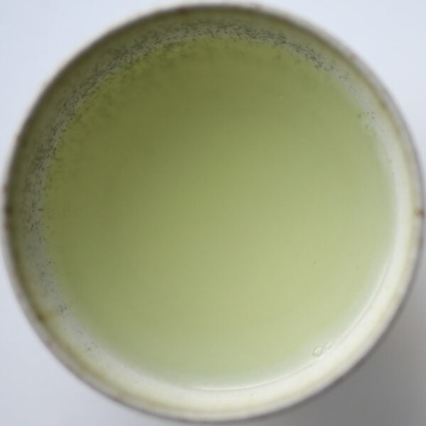 Kamo Gyokuro 2021 in small tea cup