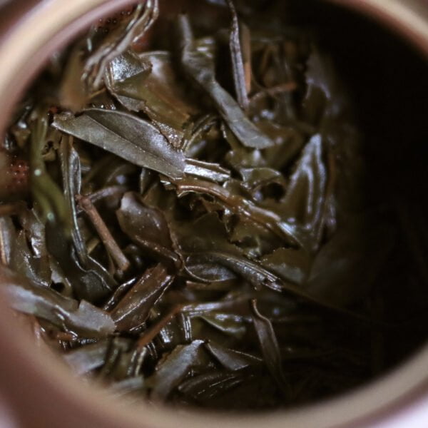 Tsukigase Kōcha Sayamamidori | organic Japanese black tea