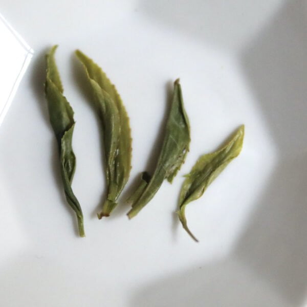 Tsukigase Ichōka Tamaryokucha | økologisk japansk grøn te